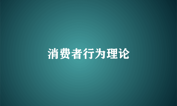 消费者行为理论