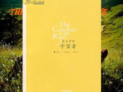 麦田里的守望者读后感100字