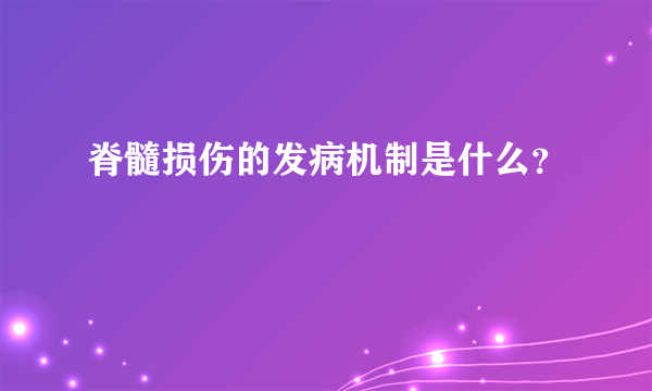 脊髓损伤的发病机制是什么？