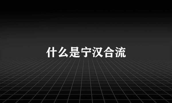 什么是宁汉合流