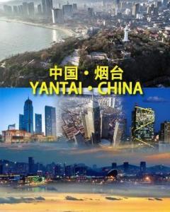 鲁y是哪里的车牌