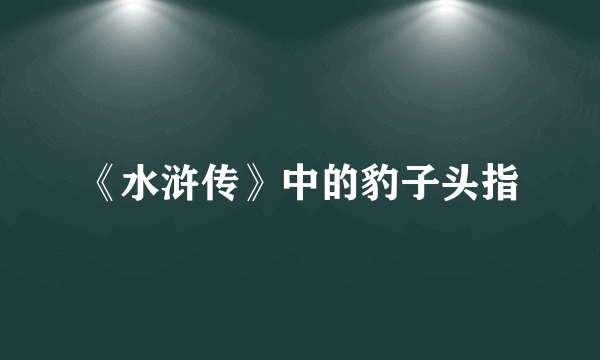 《水浒传》中的豹子头指