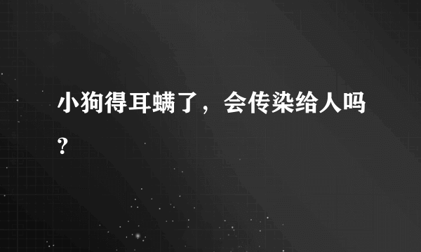小狗得耳螨了，会传染给人吗？