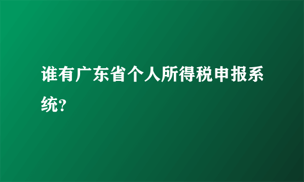 谁有广东省个人所得税申报系统？