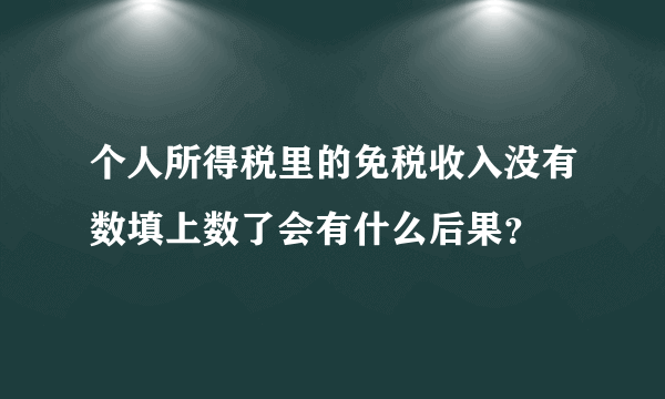 个人所得税里的免税收入没有数填上数了会有什么后果？