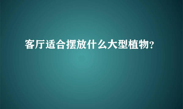 客厅适合摆放什么大型植物？