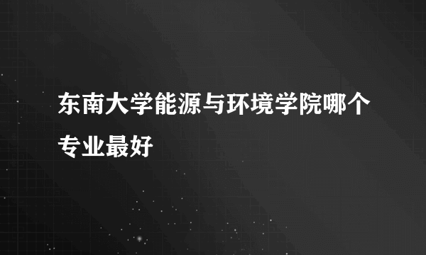 东南大学能源与环境学院哪个专业最好