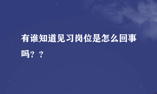 有谁知道见习岗位是怎么回事吗？？