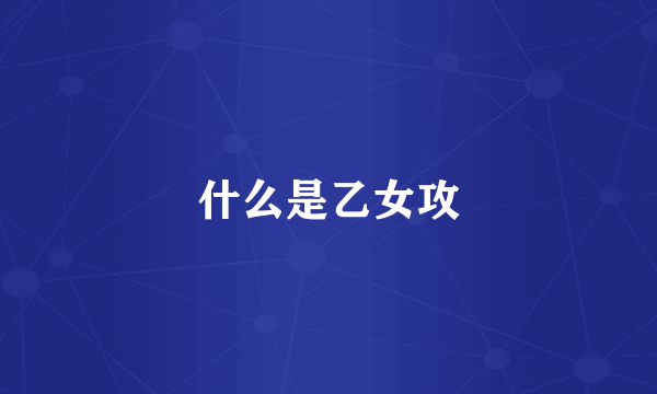 什么是乙女攻
