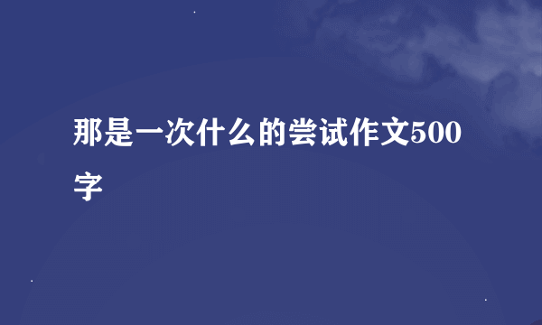 那是一次什么的尝试作文500字