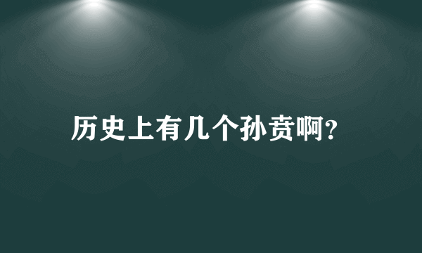 历史上有几个孙贲啊？