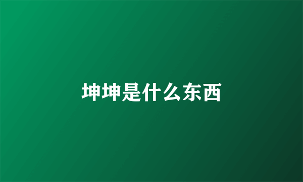 坤坤是什么东西