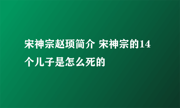 宋神宗赵顼简介 宋神宗的14个儿子是怎么死的