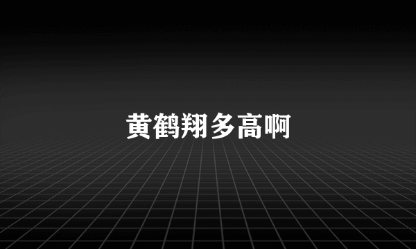 黄鹤翔多高啊