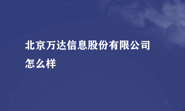 北京万达信息股份有限公司 怎么样