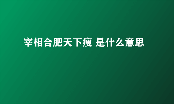 宰相合肥天下瘦 是什么意思