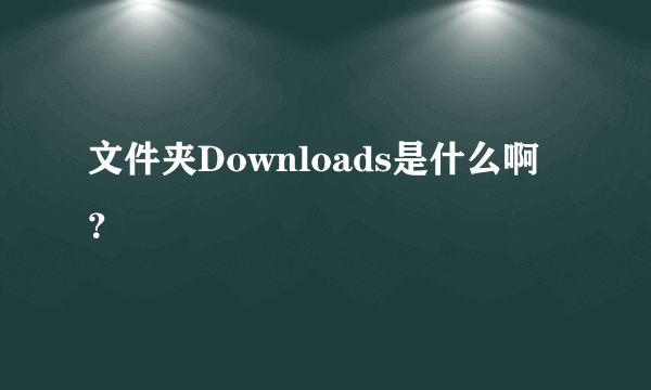 文件夹Downloads是什么啊？