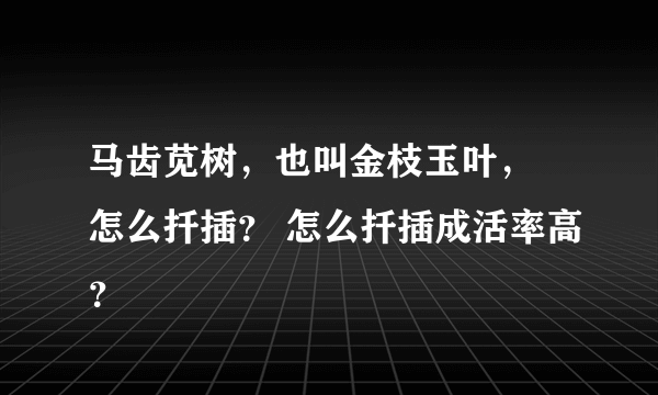 马齿苋树，也叫金枝玉叶， 怎么扦插？ 怎么扦插成活率高？