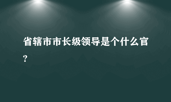 省辖市市长级领导是个什么官?