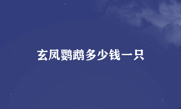 玄凤鹦鹉多少钱一只