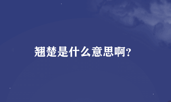 翘楚是什么意思啊？