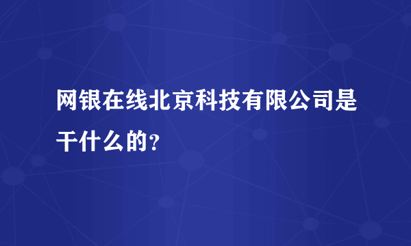 网银在线北京科技有限公司是干什么的？