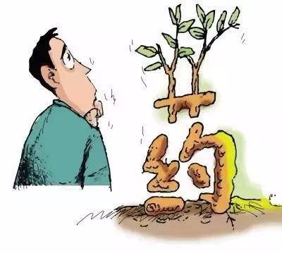 制草乌有毒吗