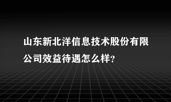 山东新北洋信息技术股份有限公司效益待遇怎么样？