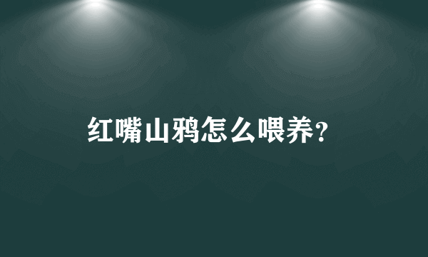 红嘴山鸦怎么喂养？