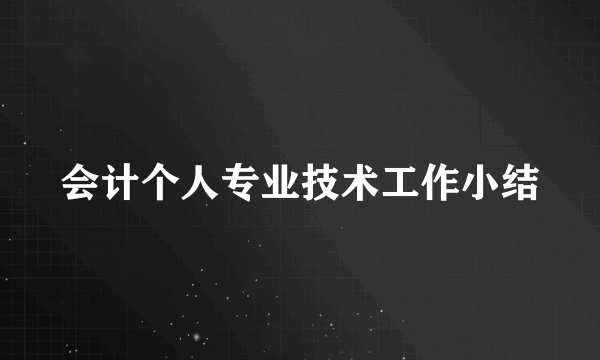会计个人专业技术工作小结