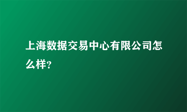 上海数据交易中心有限公司怎么样？