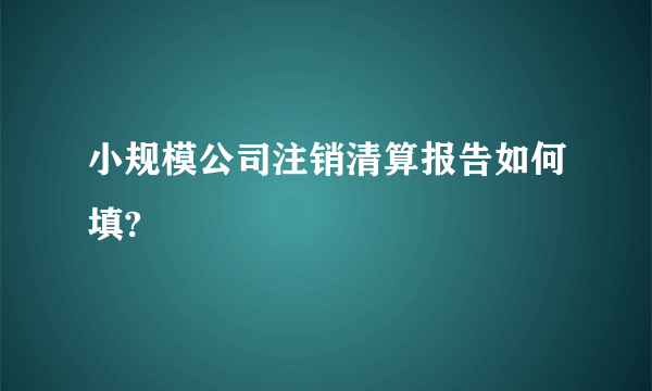小规模公司注销清算报告如何填?