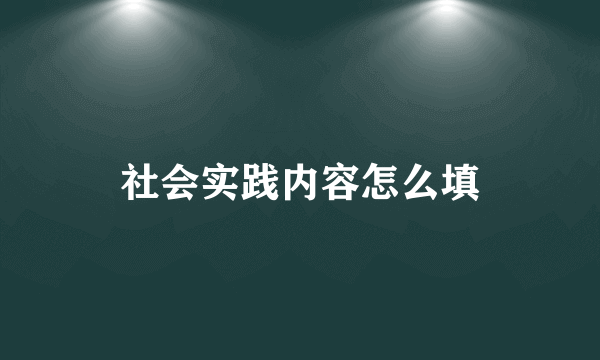社会实践内容怎么填