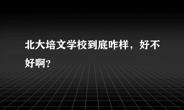 北大培文学校到底咋样，好不好啊？