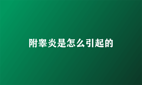 附睾炎是怎么引起的