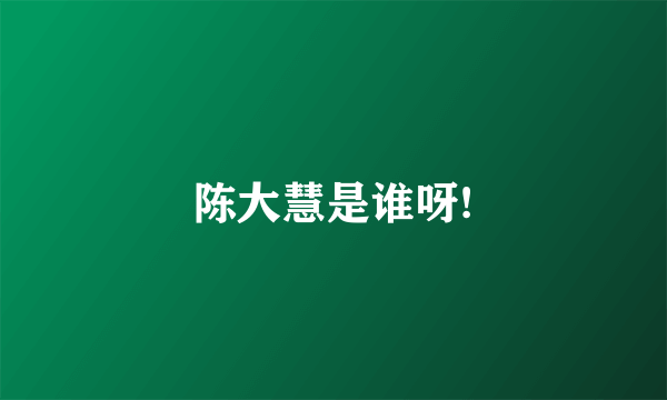 陈大慧是谁呀!