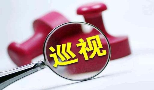 落实上轮巡视整改责任，完成整改任务情况如何，存在哪些问题和不足