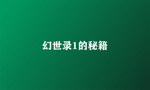 幻世录1的秘籍