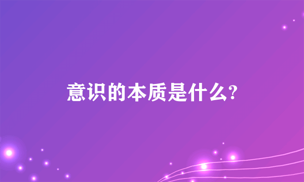 意识的本质是什么?