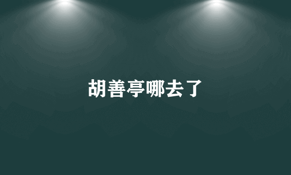 胡善亭哪去了