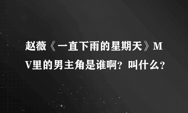 赵薇《一直下雨的星期天》MV里的男主角是谁啊？叫什么？