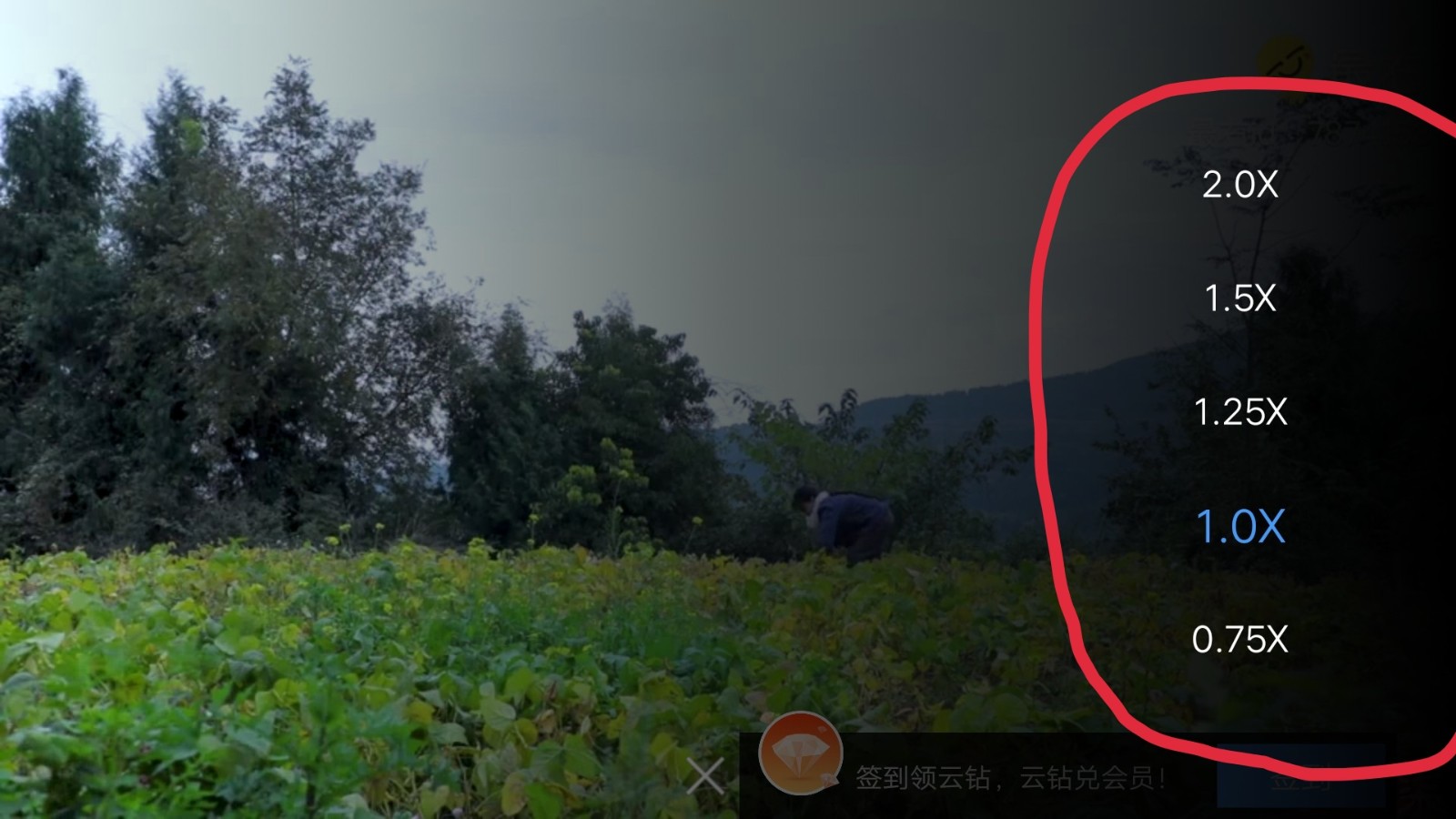 请问手机什么视频软件可以倍速播放本地文件