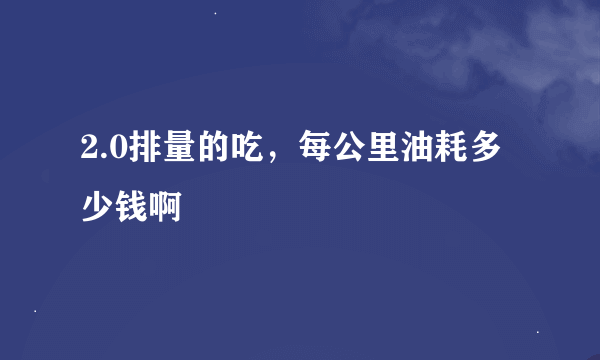 2.0排量的吃，每公里油耗多少钱啊