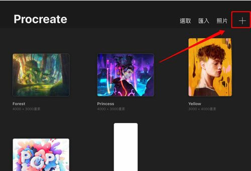 求大神告诉我笔刷怎么导入procreate的方法