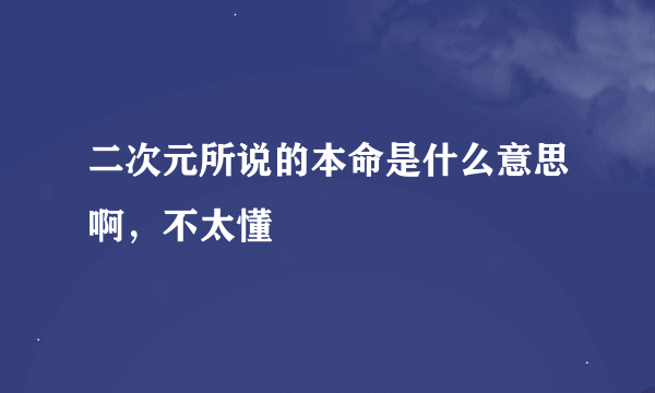 二次元所说的本命是什么意思啊，不太懂