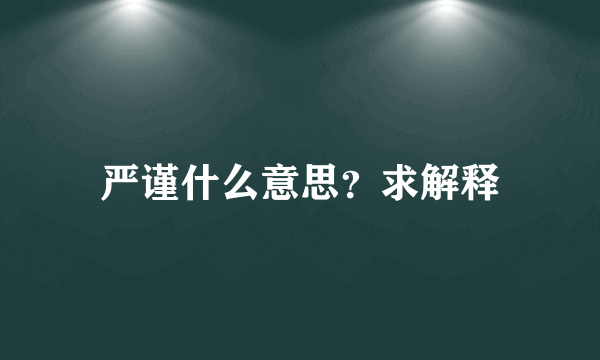 严谨什么意思？求解释