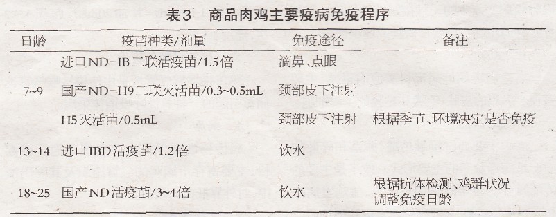 鸡新城疫的免疫程序