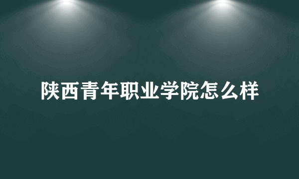 陕西青年职业学院怎么样
