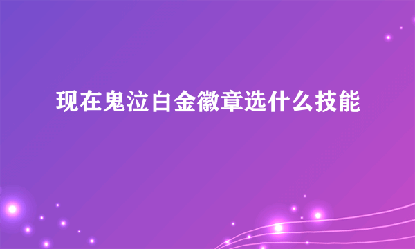 现在鬼泣白金徽章选什么技能