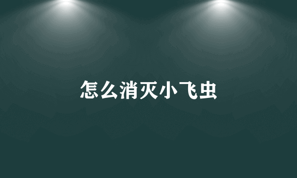 怎么消灭小飞虫